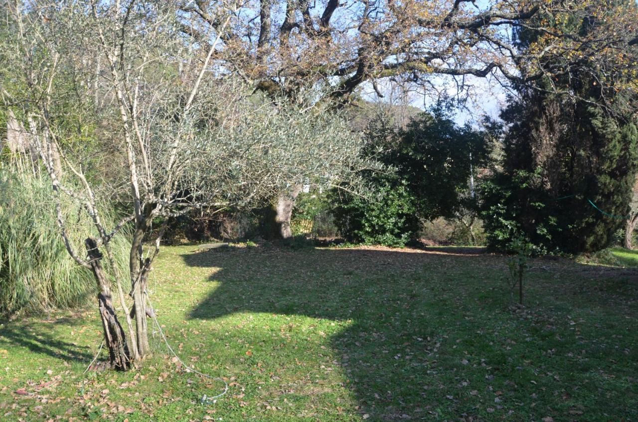 Il Giardino Secreto Apartment Manziana Luaran gambar